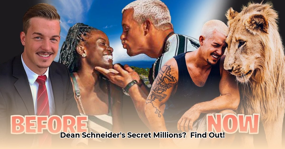 dean-schneider-net-worth